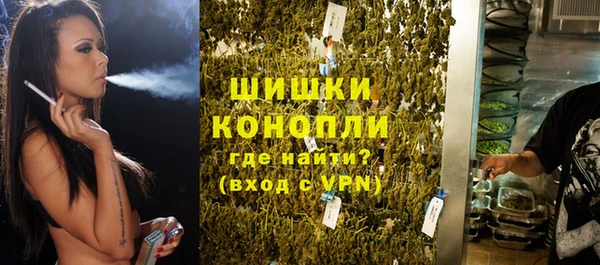 спиды Богородицк