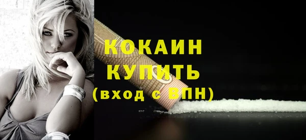 mix Бородино